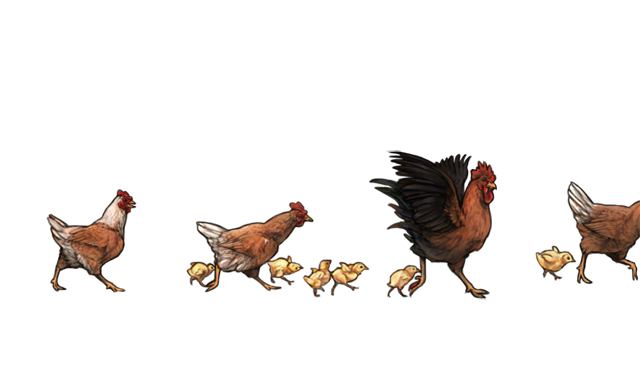 feralchickenday.png