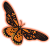 butterfly_giantafricanswallowtail.png