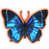 butterfly_westernbluecharaxes.png