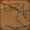 stickinsect.png