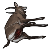 carcass_youngbushbuck.png