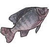 nommablefish.png