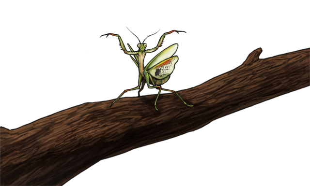 mantisday.png