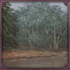 Not much is known about this swamp due to the dangers it presents to humans, but its secluded nature makes it perfect for a lion like you.