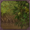 The peaceful view of mangroves bordering this river delta soothes the soul and washes your cares away.
