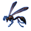 Beetle Nemesis: Delta dimidiatipenne [Black]