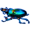 Beetle: Lamprima aurata [Blue]