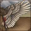 Bird Wings