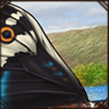 Butterfly Wings - Blue Argus [Bottom]