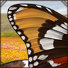 Butterfly Wings - Orange Tiger [Top]