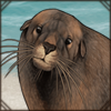 These big seals can be found on the desert coasts of southern Africa. Whenever they rest on the shore, they are wary of hyenas and lions. As they should be!