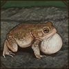 A croaky friend has decided to hop along on your adventures with you!