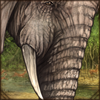 desertelephant.png