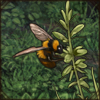 koyosabumblebee.png