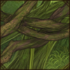 Mossy Hanging Branches