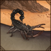 Black Spitting Thicktail Scorpion