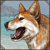 shibainu.png