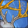 Sparkly Antlers