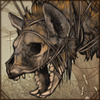 Sun-Dried Hyena Head