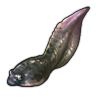 Suspicious Tadpole